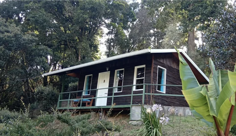 Renovated wooden lodge with a green balcony railing and forest behind it